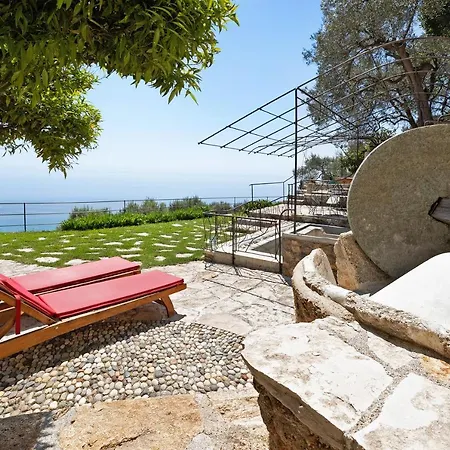 Ulivo * Finale Ligure